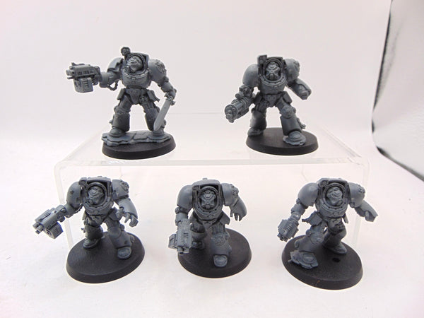 Terminator Squad