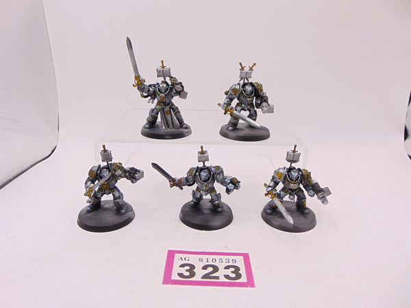 Brotherhood Terminator Squad