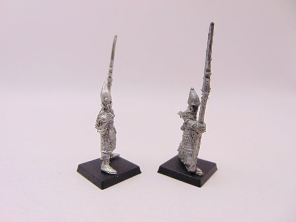 Elf Warriors with Spear
