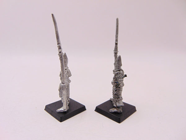 Elf Warriors with Spear