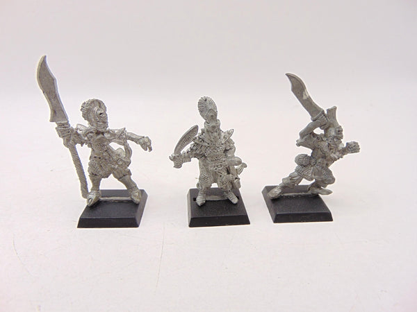 Dark Elf Warriors