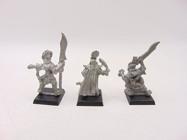 Dark Elf Warriors