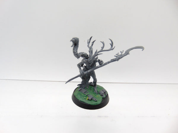 Branchwych