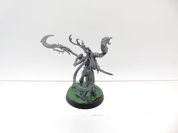 Branchwych