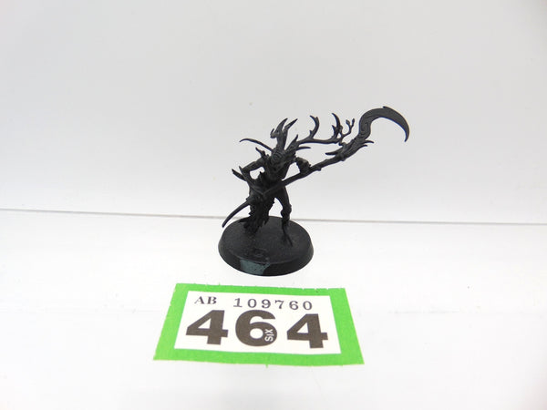 Branchwych