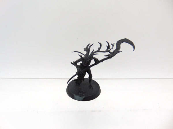 Branchwych