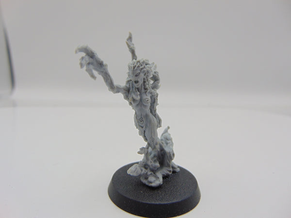 Branchwraith Drycha