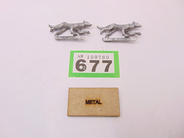 Wood Elf Beast Pack Warhounds