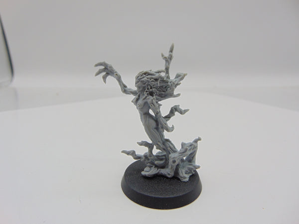 Branchwraith Drycha