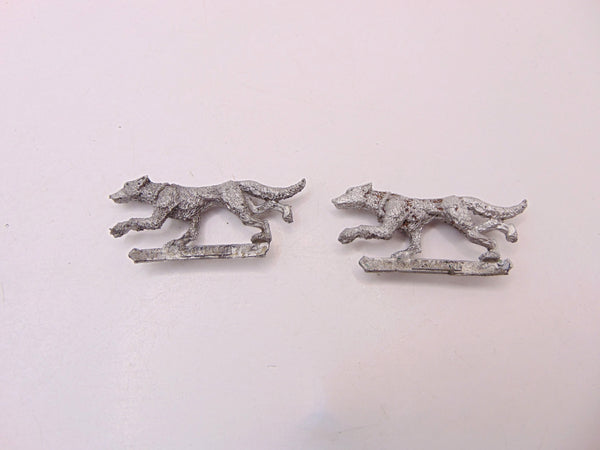 Wood Elf Beast Pack Warhounds