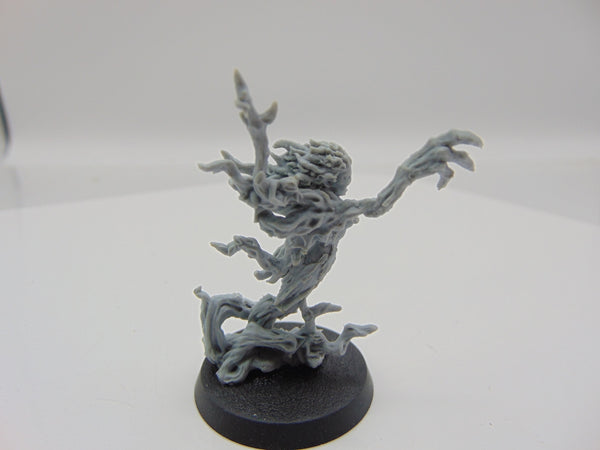 Branchwraith Drycha