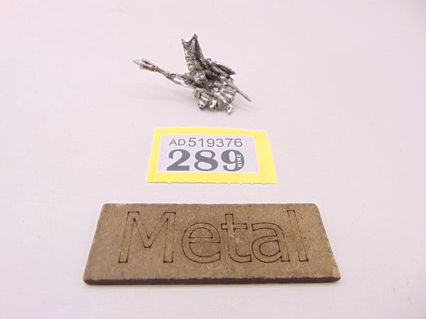 Damsel / Prophetess of the Lady