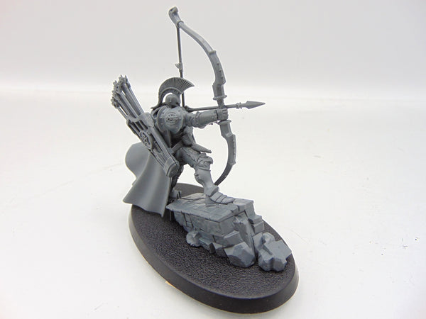 Knight Judicator