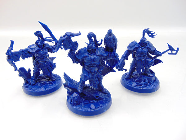 The Farstriders