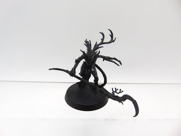 Branchwych
