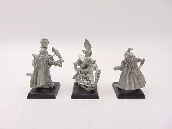 Dark Elf Warriors