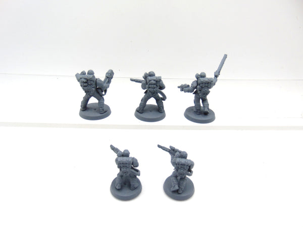 Tempestus Scions