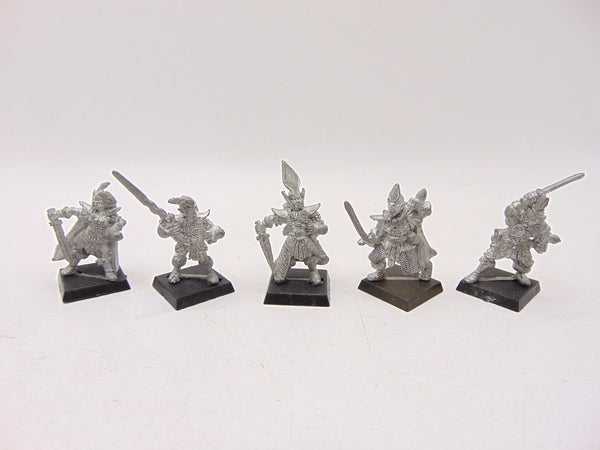Dark Elf Warriors