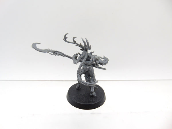 Branchwych