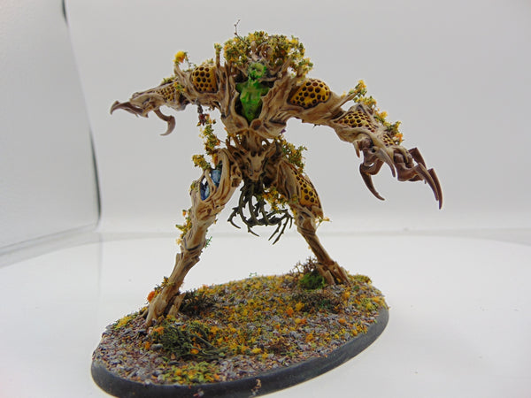 Drycha Hamadreth