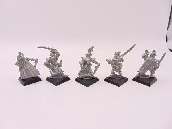 Dark Elf Warriors