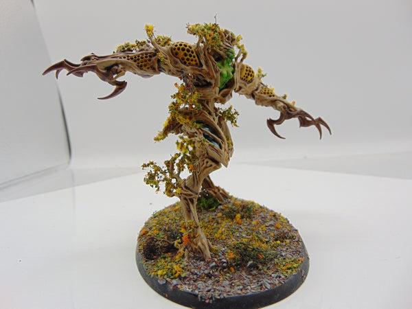 Drycha Hamadreth