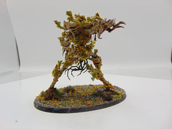 Drycha Hamadreth