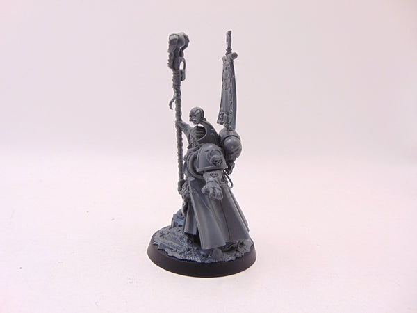 Chief Librarian Tigurius