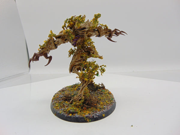 Drycha Hamadreth