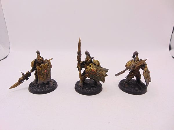 Custodian Guard