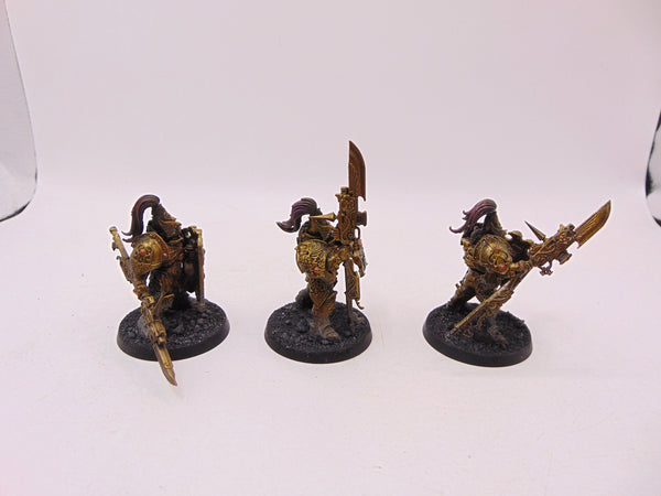 Custodian Guard