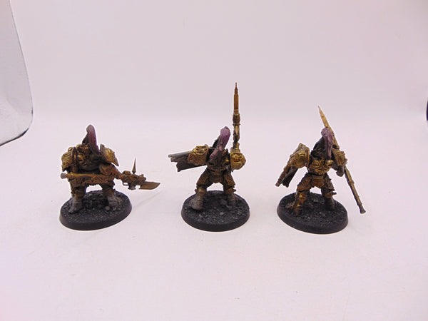 Custodian Guard