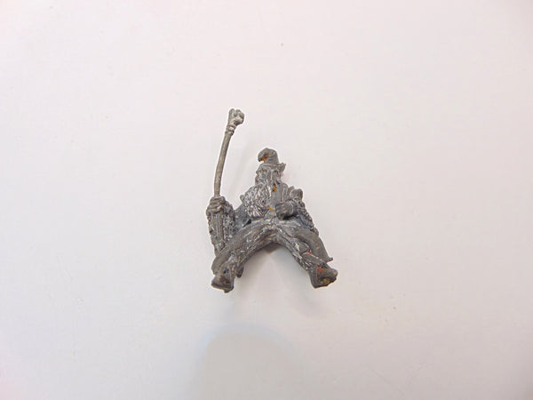 C33 Mounted Adventurers Wizard