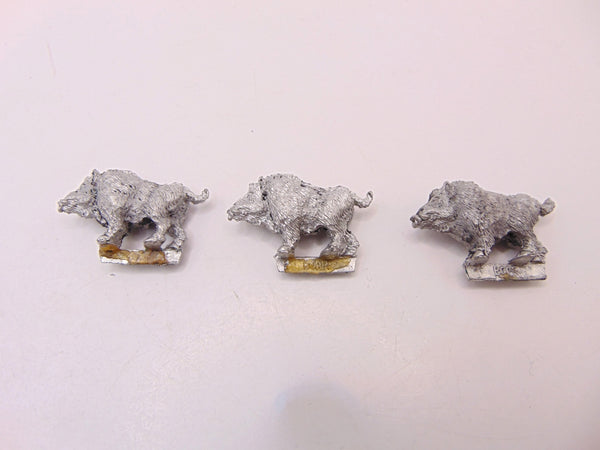 Wood Elf Beast Pack Boars