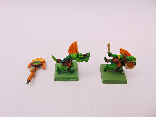 Skink Command
