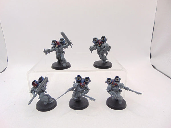 Raptors Conversion