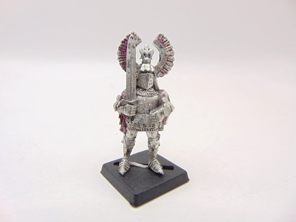 Questing Knight on Foot