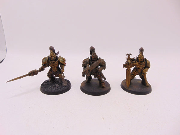 Custodian Guard