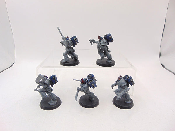 Raptors Conversion
