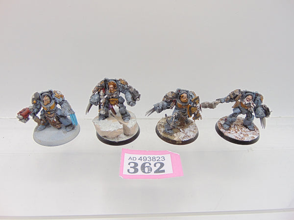 Wolf Guard Terminators