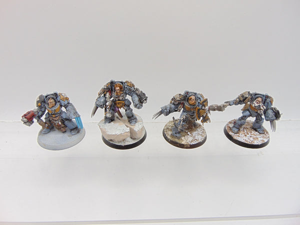 Wolf Guard Terminators