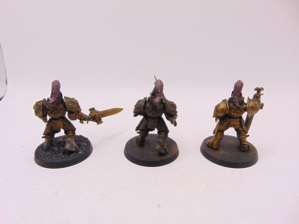 Custodian Guard