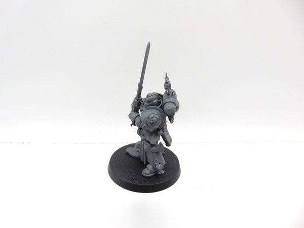 Primaris Company Champion