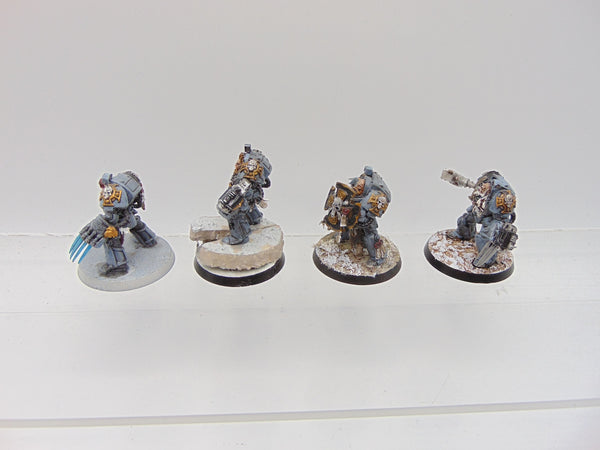 Wolf Guard Terminators