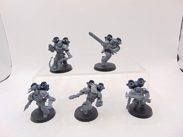 Raptors Conversion