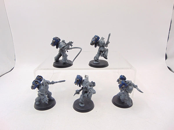 Raptors Conversion