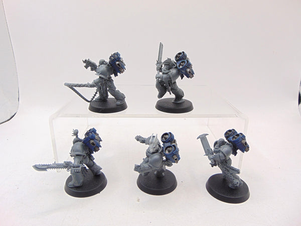 Raptors Conversion