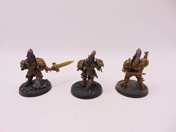 Custodian Guard