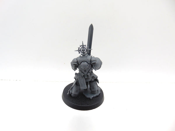Primaris Company Champion