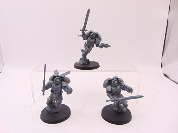 Sanguinary Guard